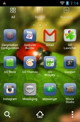 Ladybug Go Launcher Android Theme Image 3