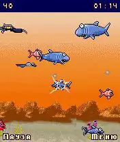 Shark Fishmageddon: Close Water Java Game Image 3
