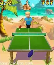 Beach Ping Pong Java Game Image 3