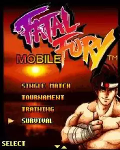 Fatal Fury Mobile Java Game Image 1