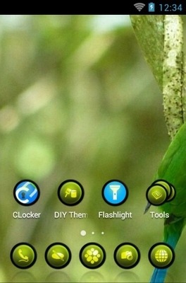 Long-Tailed Broadbill CLauncher Android Theme Image 2
