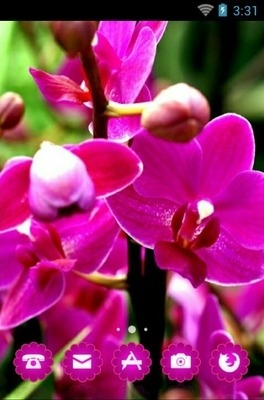 Orchid Flower CLauncher Android Theme Image 1