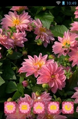 Dahlia Flower CLauncher Android Theme Image 1