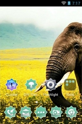 Indian Elephant CLauncher Android Theme Image 2