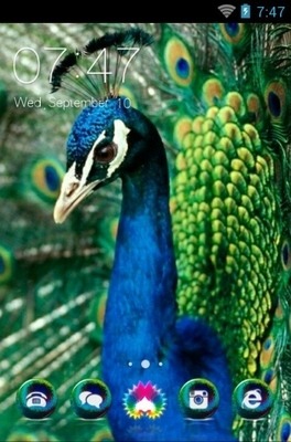 Peafowl CLauncher Android Theme Image 1