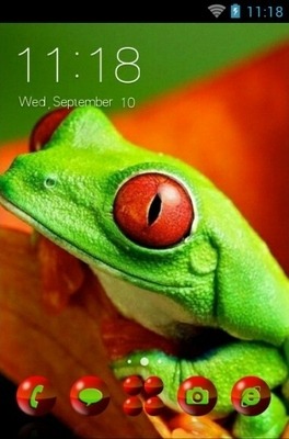 Red-Eyed Tree Frog CLauncher Android Theme Image 1