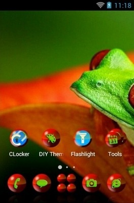 Red-Eyed Tree Frog CLauncher Android Theme Image 2