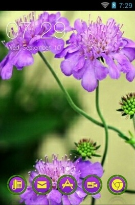 Pincushion Flower CLauncher Android Theme Image 1