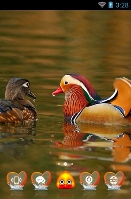 Wood Duck CLauncher Android Theme Image 1