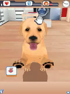 Dogz 3D Java Game Image 2