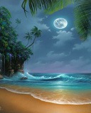 Beach And Moon