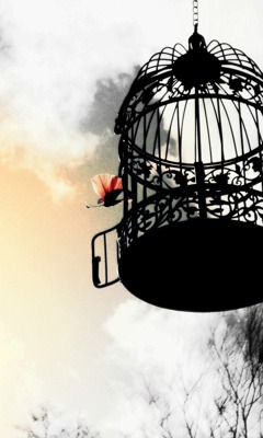 Caged Life
