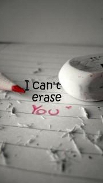 I Cant Erase You