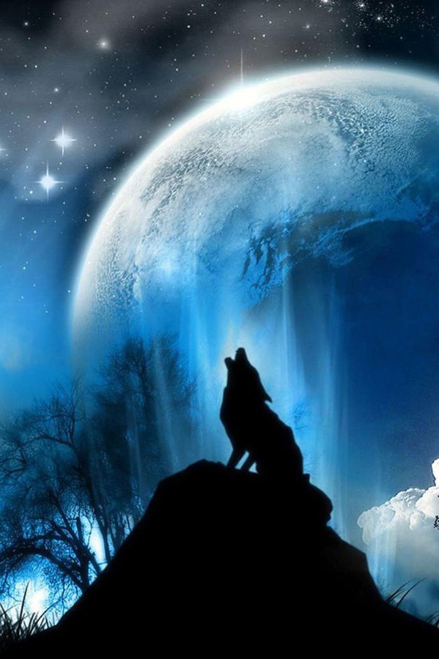 Download Free Mobile Phone Wallpaper Wolf - 1483 