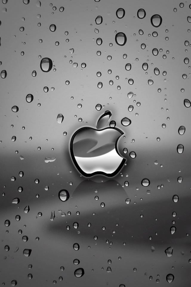 Download Free Mobile Phone Wallpaper Apple Rain - 1549 