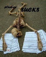 Studies Sucks