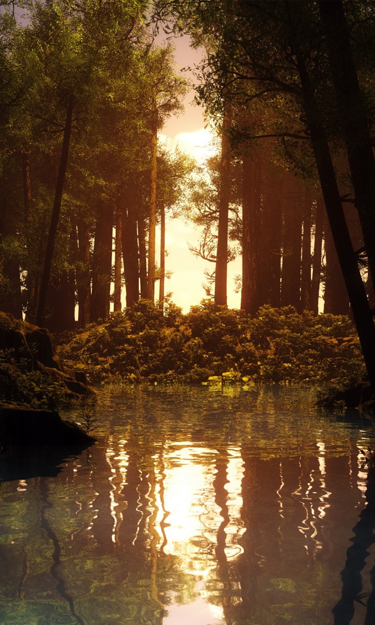 Sunset Forest