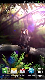 Wise Monkey 3D