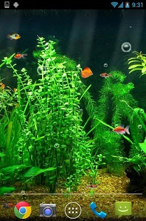 Fishbowl HD