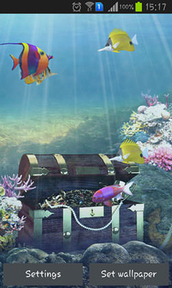 Aquarium And Fish