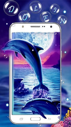 Download Free Android Wallpaper Blue Dolphin - 3964 