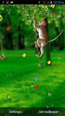 Download Free Android Wallpaper Funny Monkey - 4103 