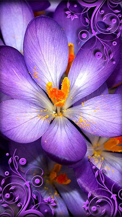 Download Free Android Wallpaper Purple Flowers - 4098 