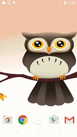 Download Free Android Wallpaper Cute Owl - 4194 