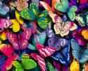 Butterflies  Mobile Phone Wallpaper