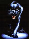 Black Panther  Mobile Phone Wallpaper