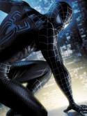 Black Spiderman  Mobile Phone Wallpaper