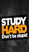 Dont Be Stupid Nokia 603 Wallpaper