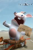 Funny Rabbit  Mobile Phone Wallpaper