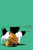 Hilarious Cow  Mobile Phone Wallpaper
