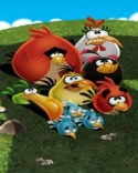 Angry Birds  Mobile Phone Wallpaper