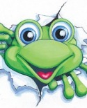 Frog  Mobile Phone Wallpaper