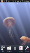 3D Jellyfish Android Mobile Phone Wallpaper