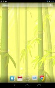 Bamboo Forest Android Mobile Phone Wallpaper