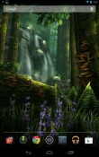 Forest HD Android Mobile Phone Wallpaper