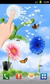Sky Flowers HD QMobile NOIR A10 Wallpaper
