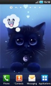 Yin The Cat Realme Q Wallpaper