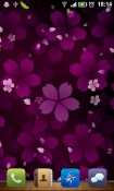 Sakura Falling Android Mobile Phone Wallpaper