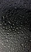 Black Water Drops  Mobile Phone Wallpaper
