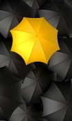 Umbrellas  Mobile Phone Wallpaper