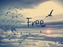Free Samsung Comment 2 R390C Wallpaper