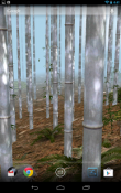 Bamboo Forest 3D QMobile NOIR A10 Wallpaper