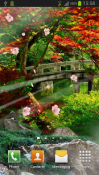 Zen Garden QMobile NOIR A10 Wallpaper