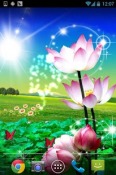 Lotus Android Mobile Phone Wallpaper