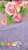 Rose QMobile NOIR A10 Wallpaper