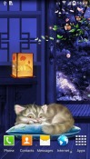 Sleeping Kitten Android Mobile Phone Wallpaper